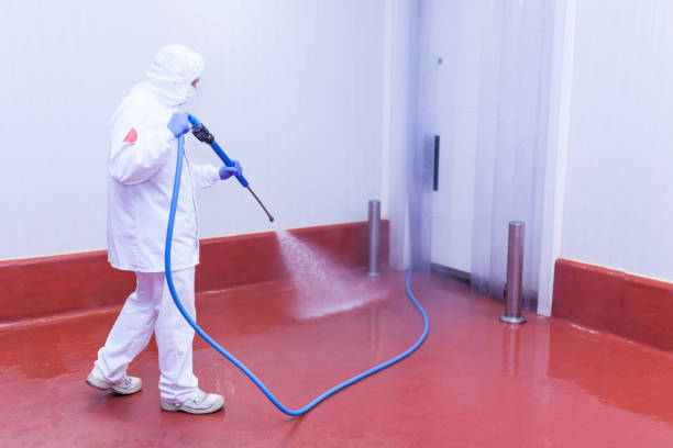 Best Pre-Holiday Cleaning  in Hialeah Gardens, FL